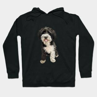 Havanese Puppy Dog Hoodie